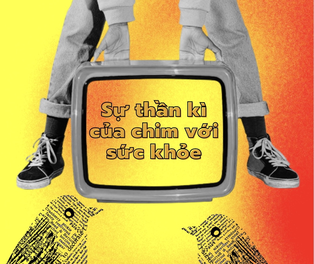 img-slideShow